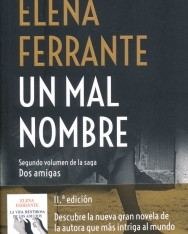 Elena Ferrante: Un mal nombre (Dos amigas 2)