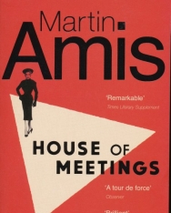 Martin Amis: House of Meetings