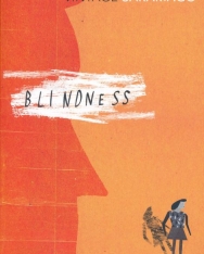 Jose Saramago: Blindness