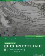 American Big Picture Pre-Intermediate  Workbook + Audio CD
