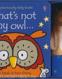 That's Not My Owl Book and Toy