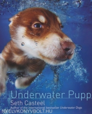 Underwater Puppies