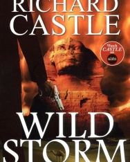 Richard Castle: Wild Storm (A Derrick Storm Thriller Book 5)