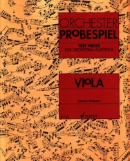 Orchester Probespiel - Viola