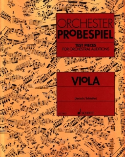Orchester Probespiel - Viola