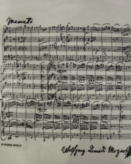 Póló - Mozart fehér M