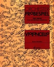 Orchester Probespiel - Violoncello
