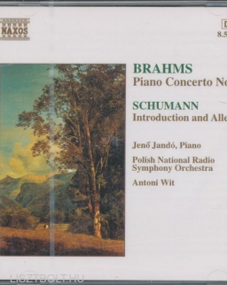 Johannes Brahms: Piano concerto 1., Robert Schumann: Introduction