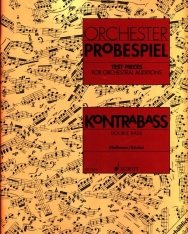 Orchester Probespiel - Kontrabass