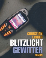 Christian Linker: Blitzlicht Gewitter
