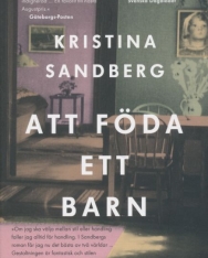 Kristina Sandberg: Att Föda Ett Barn