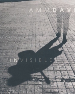 Lamm Dávid: Invisible
