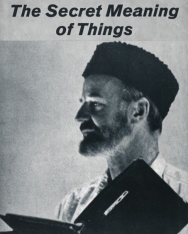 Lawrence Ferlinghetti: The Secret Meaning of Things