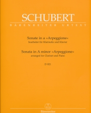 Franz Schubert: Sonate in A minor 