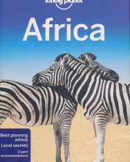 Lonely Planet - Africa Travel Guide (13th Edition)