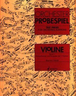 Orchester Probespiel - Violine I. (Konzertmeister und Vorspieler der 1. Violinen)