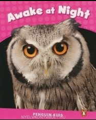 Awake at Night - Penguin Kids level 2 - 400 headwaords