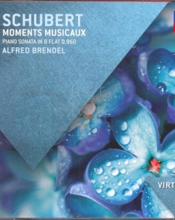 Franz Schubert: Moments Musicaux, Piano Sonata D960