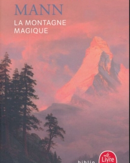 Thomas Mann: La Montagne magique (Nouvelle traduction)