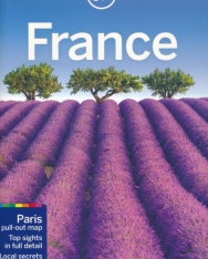 Lonely Planet - France Travel Guide (13th Edition)
