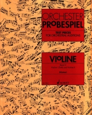 Orchester Probespiel - Violine II. und Violine tutti