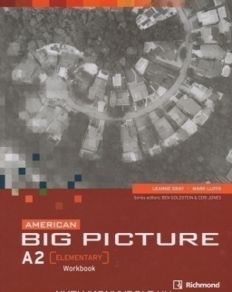 American Big Picture Elementary  Workbook + Audio CD