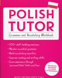 Teach Yourself Polish Tutor - Grammar and Vocabulary Workbook