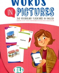 Words in Pictures - 240 Vocabulary Flashcards in English