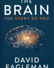 David Eagleman: The Brain: The Story of You