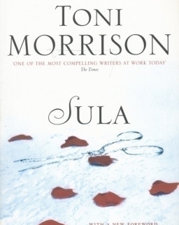 Toni Morrison: Sula