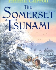 Emma Carroll: The Somerset Tsunami