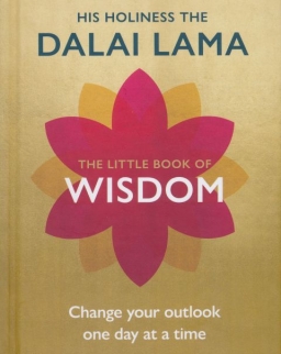 Dalai Lama: The Little Book of Wisdom: Change Your Outlook One Day at a Time