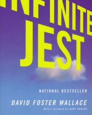 David Foster Wallace: Infinite Jest