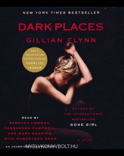 Gillian Flynn: Dark Places - Audio Book (11CDs)