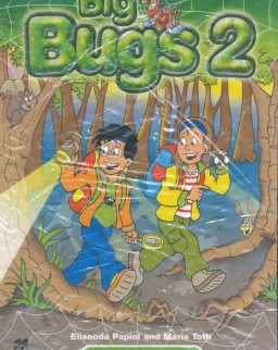 Big Bugs 2 Flashcards