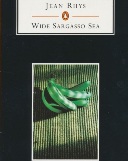 Jean Rhys: Wide Sargasso Sea - Penguin Student Edition