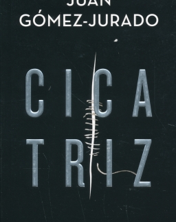 Juan Gómez-Jurado: Cicatriz