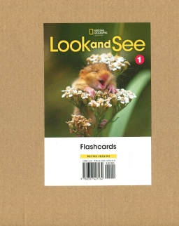 Look and See 1 Flashcards