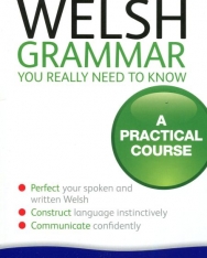 Teach Yourself: Welsh Grammar - You Really Need to Know