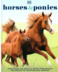Horses & Ponies - Everything You Need to Know, From Bridles and Breeds to Jodhpurs and Jumping!