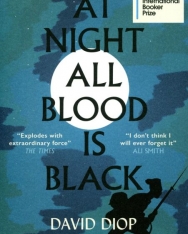 David Diop: At Night All Blood Is Black