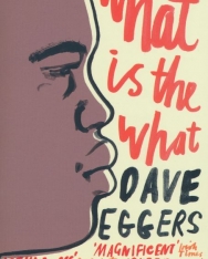 Dave Eggers: What is the What