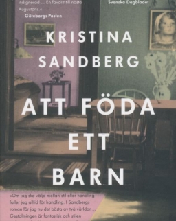 Kristina Sandberg: Att Föda Ett Barn