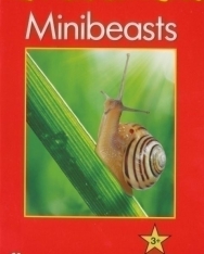 Minibeasts - Macmillan Factual Readers Level 3