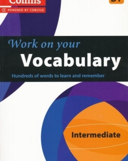 Work on your Vocabulary - Intermediate (B1)