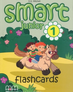 Smart Junior 1 Flashcards
