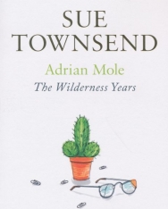 Sue Townsend: Adrien Mole - The Wilderness Years (Book 4)