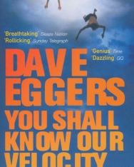 Dave Eggers: You Shall Know Our Velocity