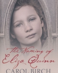 Carol Birch: The Naming Of Eliza Quinn
