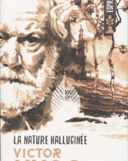 Victor Hugo: La nature hallucinée